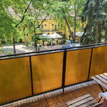 Koala * Székesfehérvár